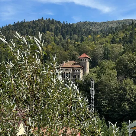 Casa David-2